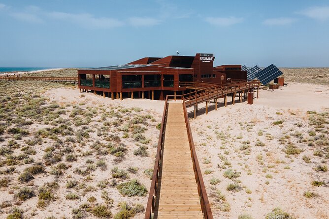 Boat trip from Faro to Ilha Deserta by Ferry - What to bring (since food and a guide aren’t included)