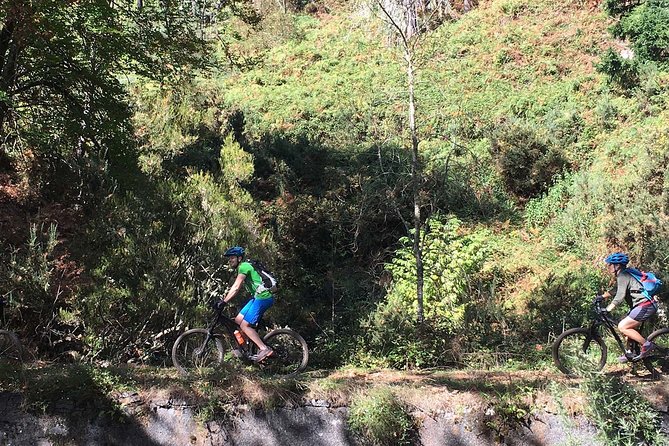 Botanical Trails of Madeira. Mountain biking Trail Experience - Madeira’s Levadas: The Secret Route Planner for Mountain Bikes