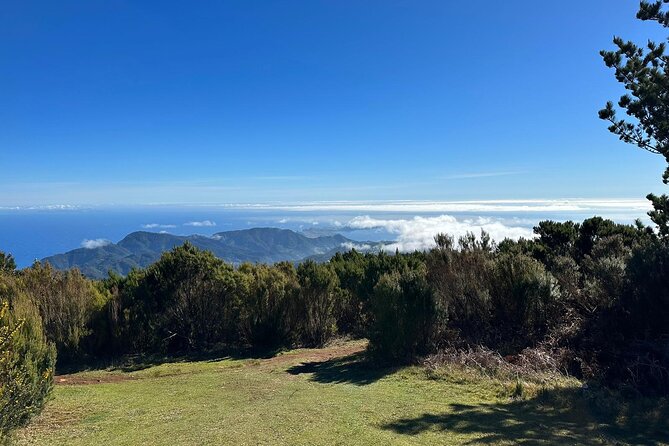 Botanical Trails of Madeira. Mountain biking Trail Experience - The 20km Relaxed Levada Ride Through Madeira’s Forest Mix