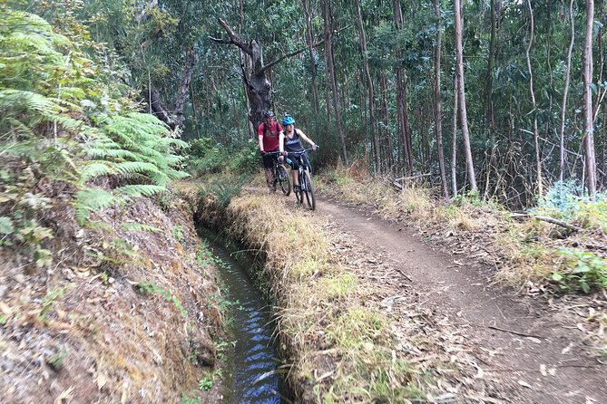 Botanical Trails of Madeira. Mountain biking Trail Experience - Price and Value: Is $96.12 a Fair Deal?