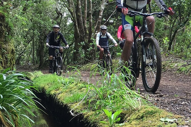 Botanical Trails of Madeira. Mountain biking Trail Experience - Poiso Start at 1400m: The Gentle Climb That Sets Your Tempo