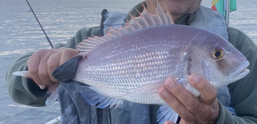 Bottom Fishing Lagos - Key Things I’d Book This Trip For