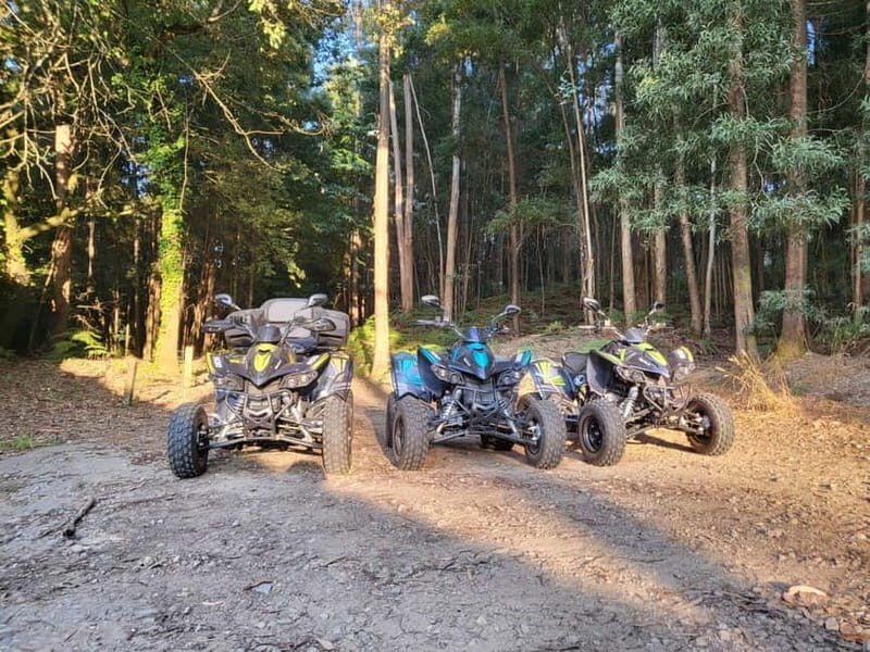 Braga: Quad bike ride, experience the adventure in Braga with Quad Paradise! - Who this is best for (and who should skip it)