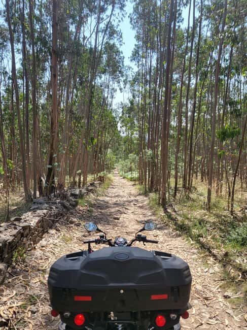 Braga: Quad bike ride, experience the adventure in Braga with Quad Paradise! - Route time: how the ride unfolds during your hour