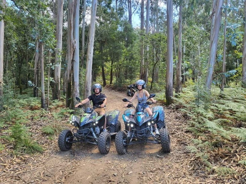 Braga: Quad bike ride, experience the adventure in Braga with Quad Paradise! - Picking your route: half-city/half-forest vs full forest tracks