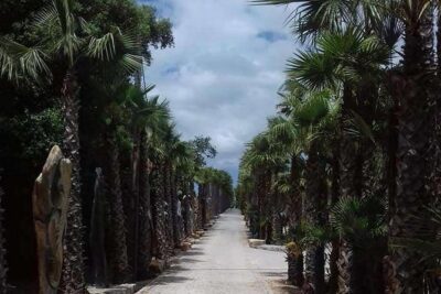 Buddha Eden Garden and Óbidos village in Portugal (70km of Lisbon) - Price and logistics: is $414 per group actually good value?