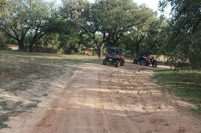 Buggy Adventure - 1.5 Hours Off-Road Guided Tour from Albufeira - Safety and Instructor-Led Confidence