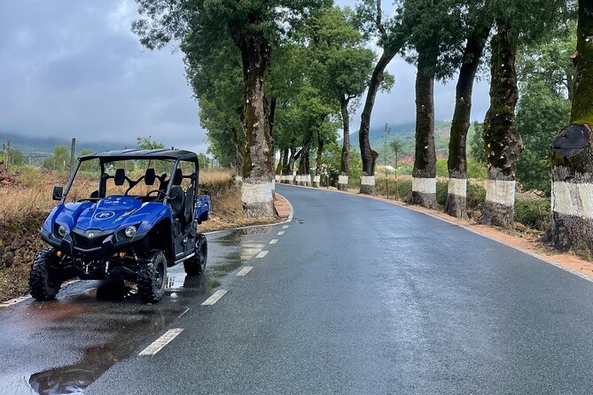 Buggy and Moto 4 Tours in Marvão - Key highlights to know before you go