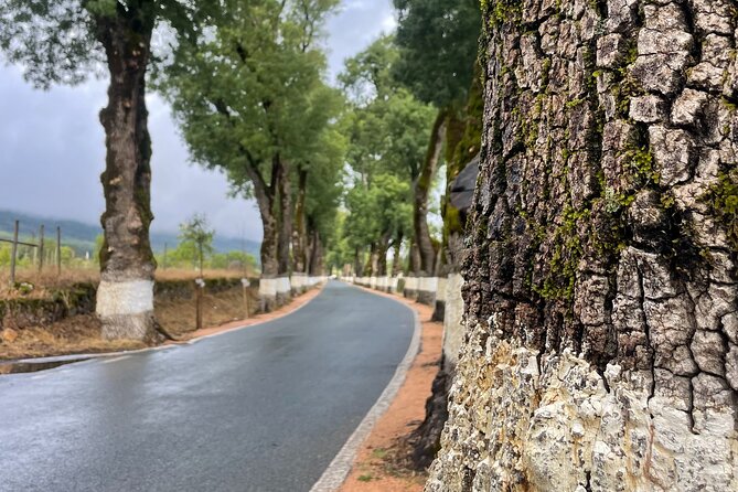 Buggy and Moto 4 Tours in Marvão - The pool near the river: when your tour becomes a mini escape