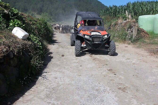 Buggy – Off-road Excursion w/ lunch – Coast to Coast (Shared) - Before you go: license rules, dust control, and warm-climate layers