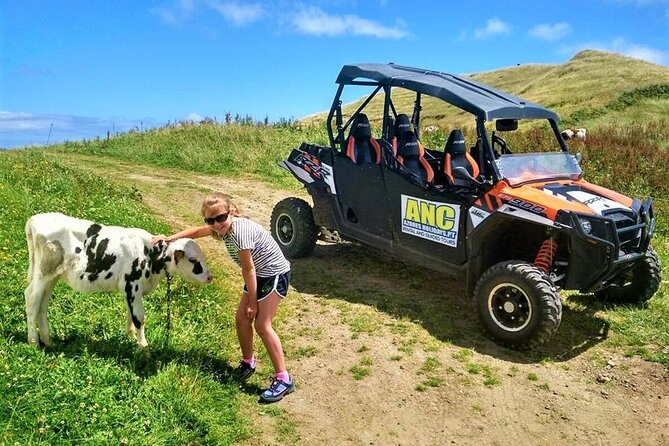 Buggy – Off-road Excursion w/ lunch – Coast to Coast (Shared) - Caloura lunch: the break that keeps the day fun