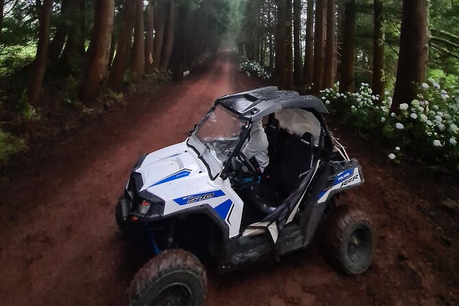 BUGGY TOUR - West / Center of the island (off-road) - Where you meet and how pickup works from Angra do Heroísmo