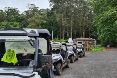 BUGGY TOUR - West / Center of the island (off-road) - Price and value: what $102.84 covers (and what it doesn’t)