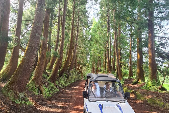 BUGGY TOUR - West / Center of the island (off-road) - The driving setup: two-seaters, real off-road, and safety checks