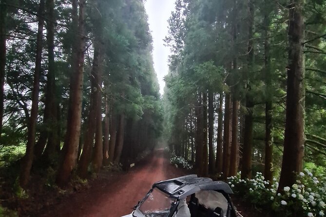 BUGGY TOUR - West / Center of the island (off-road) - Route rhythm: paved intro, trail time, and why the mix matters