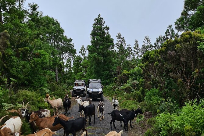 BUGGY TOUR - West / Center of the island (off-road) - What to wear: the small choices that make or break your day