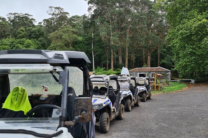 BUGGY TOUR - West / Center of the island (off-road) - Price and value: what $102.84 covers (and what it doesn’t)