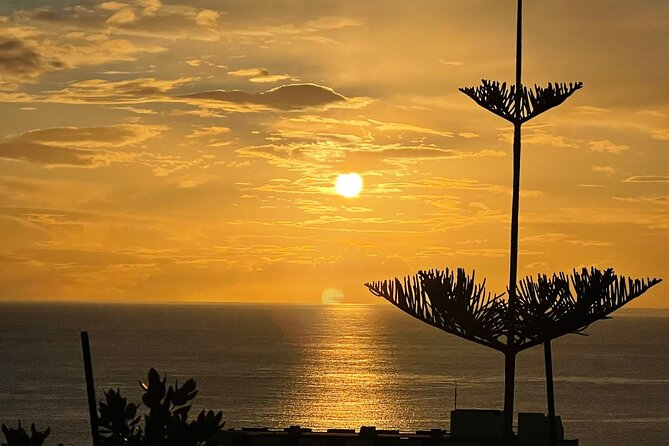 CABO GIRÃO (Half Day tour/3h) / Private Classic Car (4L). - Camara de Lobos: poncha, fishermen’s-town energy, and wood-wine chances