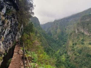 Caldeirão Verde: Levada Caldeirao Verde Hiking Transfer - Queimadas Park and the Laurissilva forest feel: what the trail delivers