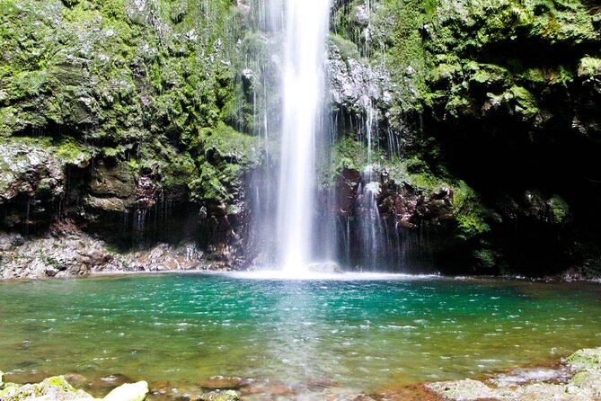 Caldeirão Verde Levada (PR 9) - Guided Madeira Levada Walk - Pace, Photo Stops, and the Return-Walk Reality