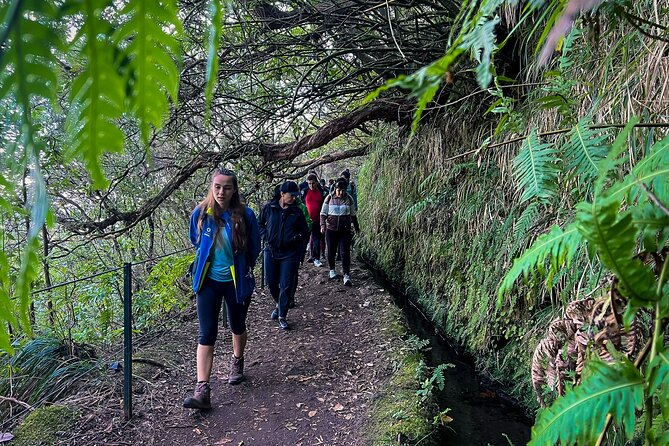 Caldeirão Verde Levada (PR 9) - Guided Madeira Levada Walk - The Tunnel Details: What You Need to Bring (and Why)