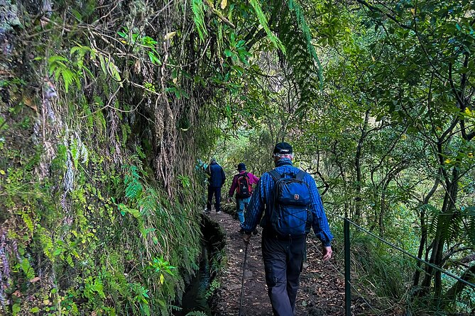 Caldeirão Verde Levada (PR 9) - Guided Madeira Levada Walk - Heights, Narrow Paths, and Staying Comfortable