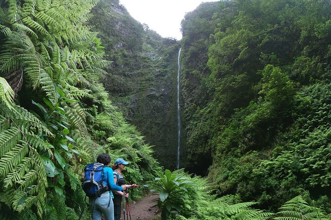 Caldeirão Verde Levada (PR 9) - Guided Madeira Levada Walk - Guide Quality That Can Make or Break the Day