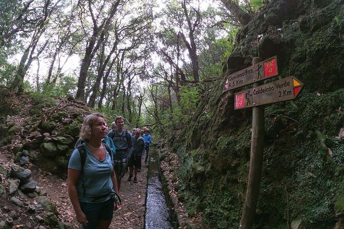 Caldeirão Verde Levada (PR 9) - Guided Madeira Levada Walk - Getting Started at Parque Florestal das Queimadas (The Fairy-Tale Opening)