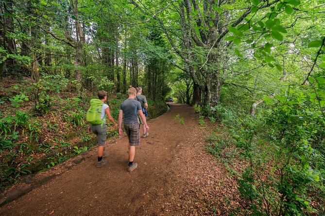 Caldeirão Verde Levadas Walk in Madeira - Caldeirão Verde on Madeira: what you’ll see and why it feels special