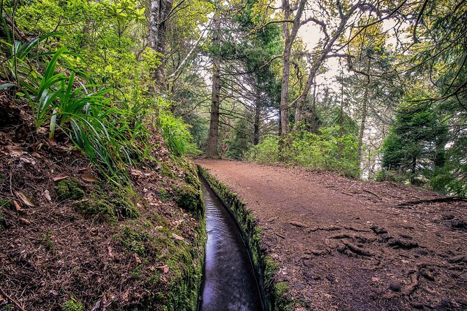 Caldeirão Verde Levadas Walk in Madeira - Waterfalls, tunnels, and narrow paths: what can be challenging