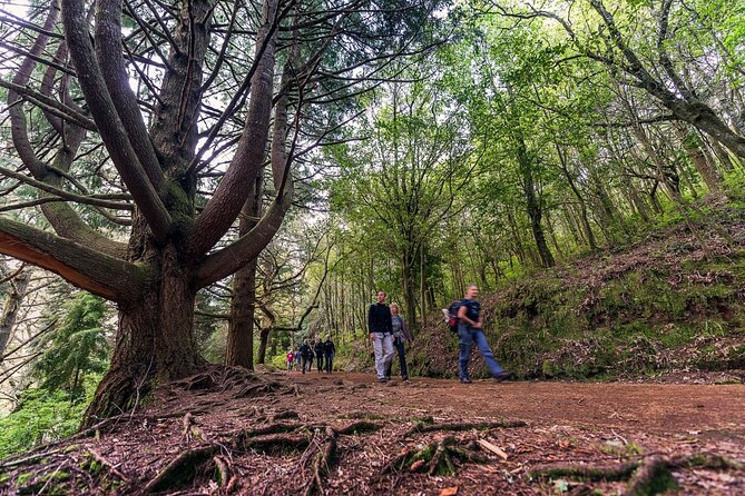 Caldeirão Verde Levadas Walk in Madeira - Your guide’s impact: Bruno, Marta, Gloria, Sergio, Emanuel, and what they do well
