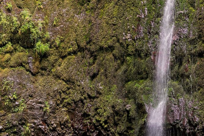Caldeirão Verde Levadas Walk in Madeira - Group size and practical reality: 17 people changes the vibe