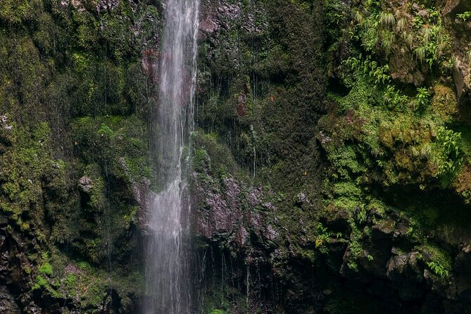 Caldeirão Verde Levadas Walk in Madeira - What to pack: the small items that prevent big annoyances