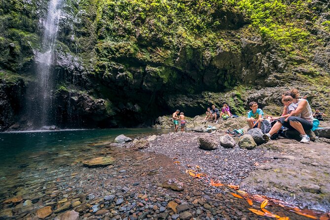 Caldeirão Verde Levadas Walk in Madeira - The bottom line: should you book Caldeirão Verde Levadas?