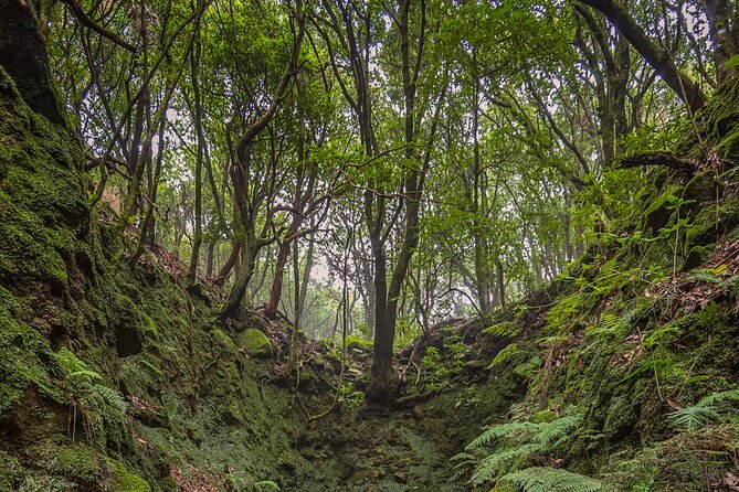 Caldeirão Verde Levadas Walk in Madeira - The day’s timing: 8:30am start and how the pacing really works