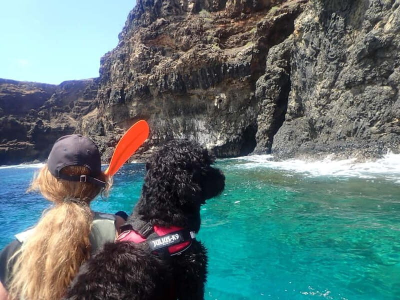 Calheta Kayak Tour - Price and value: is $49 a fair deal for a cave-focused guided paddle?