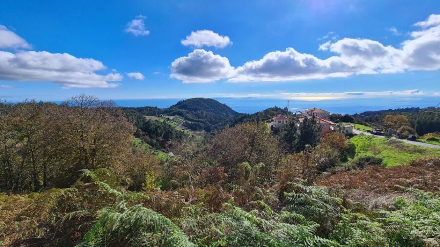 Camacha: Levada Trail e-Bike Guided Tour - Key things that make this e-bike levada tour special