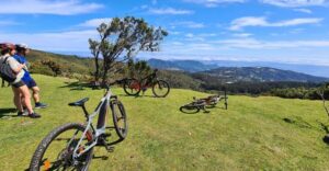 Camacha: Levada Trail e-Bike Guided Tour - Camacha pickup and van ride: start calm, not stressed
