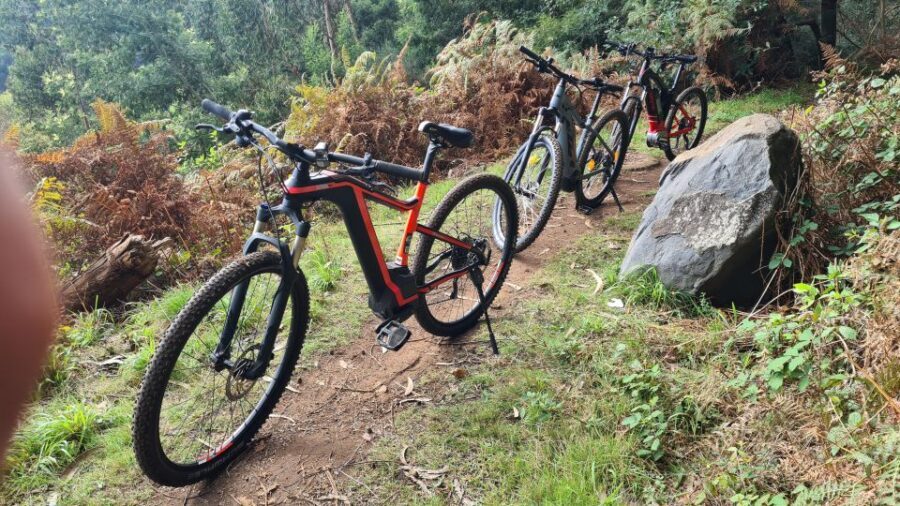 Camacha: Levada Trail e-Bike Guided Tour - First ride in Camacha: fields, forest edge, and the “getting warm” segment