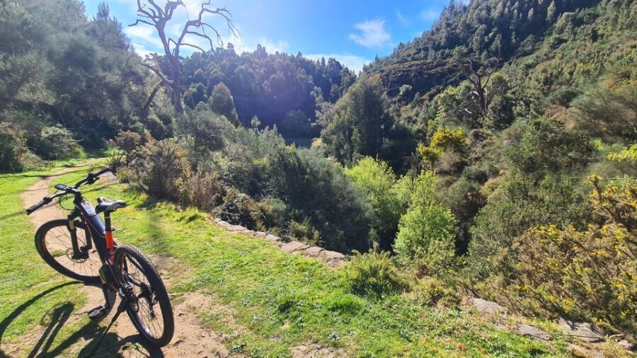 Camacha: Levada Trail e-Bike Guided Tour - Laurel-forest vibes: why this UNESCO stretch feels worth it