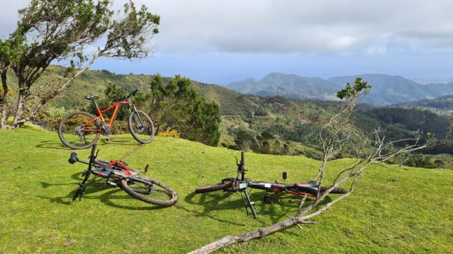 Camacha: Levada Trail e-Bike Guided Tour - A rest break at the water mill and the oddly-shaped tree