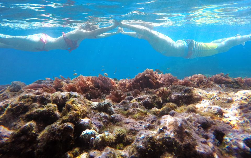 Caniço, Madeira: Marine Reserve Kayak & Snorkelling Tour - Garajau Marine Reserve is the main reason to go