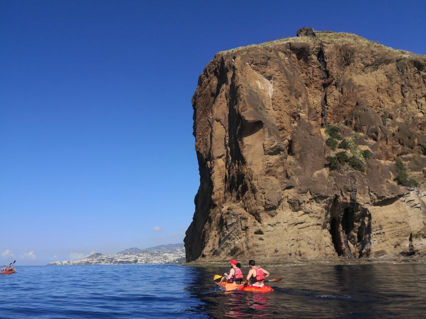 Caniço, Madeira: Marine Reserve Kayak & Snorkelling Tour - What you’ll likely see under the surface