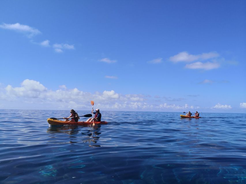 Caniço, Madeira: Marine Reserve Kayak & Snorkelling Tour - Price check: is $57 worth it?