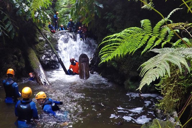 Canyoning Experience at Ribeira Grande - The descent plan: rappels, optional jumps, and those waterfall moments