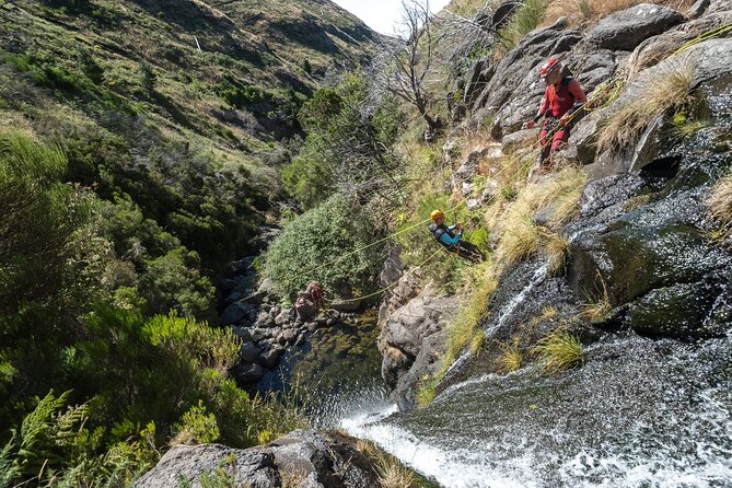 Canyoning in Madeira: Ideal for Beginners and Families - Why Canyoning in Madeira Feels So Different (Even for First-Timers)