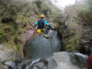 Canyoning in Madeira: Ideal for First-Timers and Families - Laurissilva Forest time: the calm before the ropes