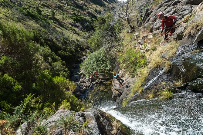 Canyoning in Madeira: Ribeira das Cales - Funchal Ecological Park - Two Hours of Canyoning: Swimming Holes, Jumps, and Rappels