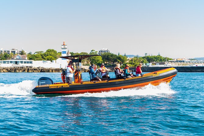Cascais coast: Dolphin watching - Key things I’d circle before you go