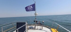Cascais Coastal Secrets: 90-Minute Cruise with Free Drinks - Fort of Saint Anthony of Barra, Palaces, and the Big-View Fort Moments